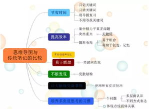 古都西安 思維之網(wǎng)，網(wǎng)絡(luò)技術(shù)服務(wù)的璀璨融合